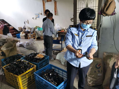 浙江發(fā)布打擊侵權假冒商品典型案例，化妝品批發(fā)領域成重點